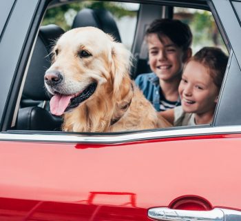 Kúpa rodinného auta: Praktický sprievodca a tipy pre bezpečné cestovanie s rodinou
